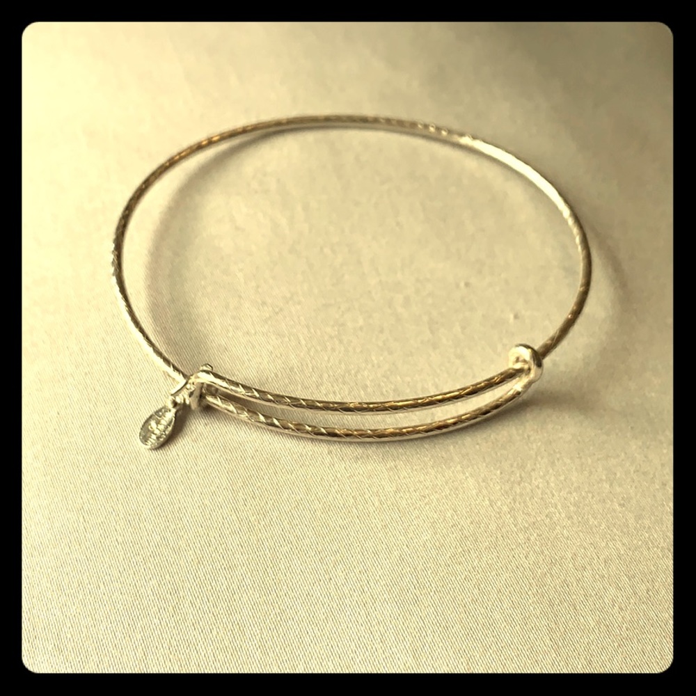 Alex and Ani expandable bracelet spacer